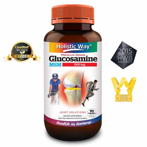 Holistic Way Glucosamine 1500mg + MSM (90 Capsules)